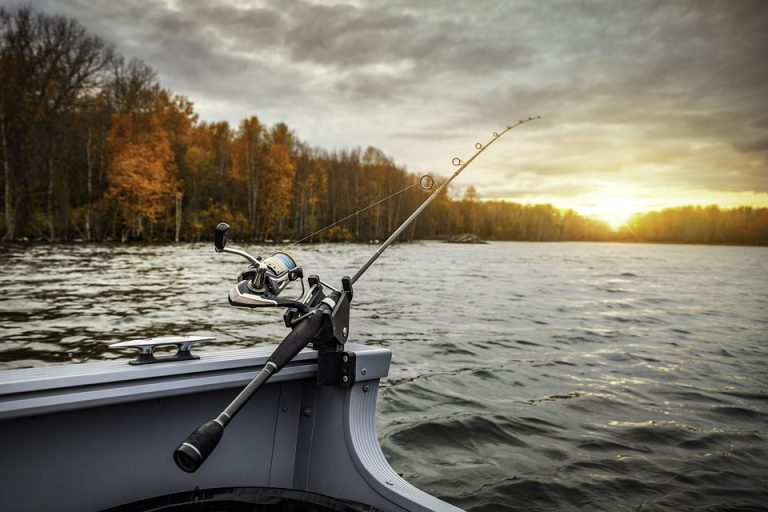 Unleash Your Angling Potential: The Advantages of High-Quality Fishing Rods