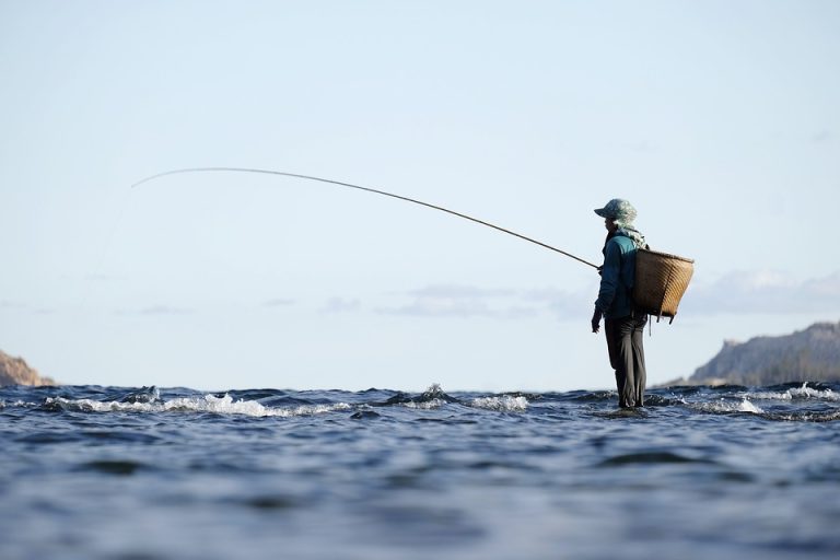 Upgrade Your Fishing Gear: Must-Have Features in Modern Fishing Rods